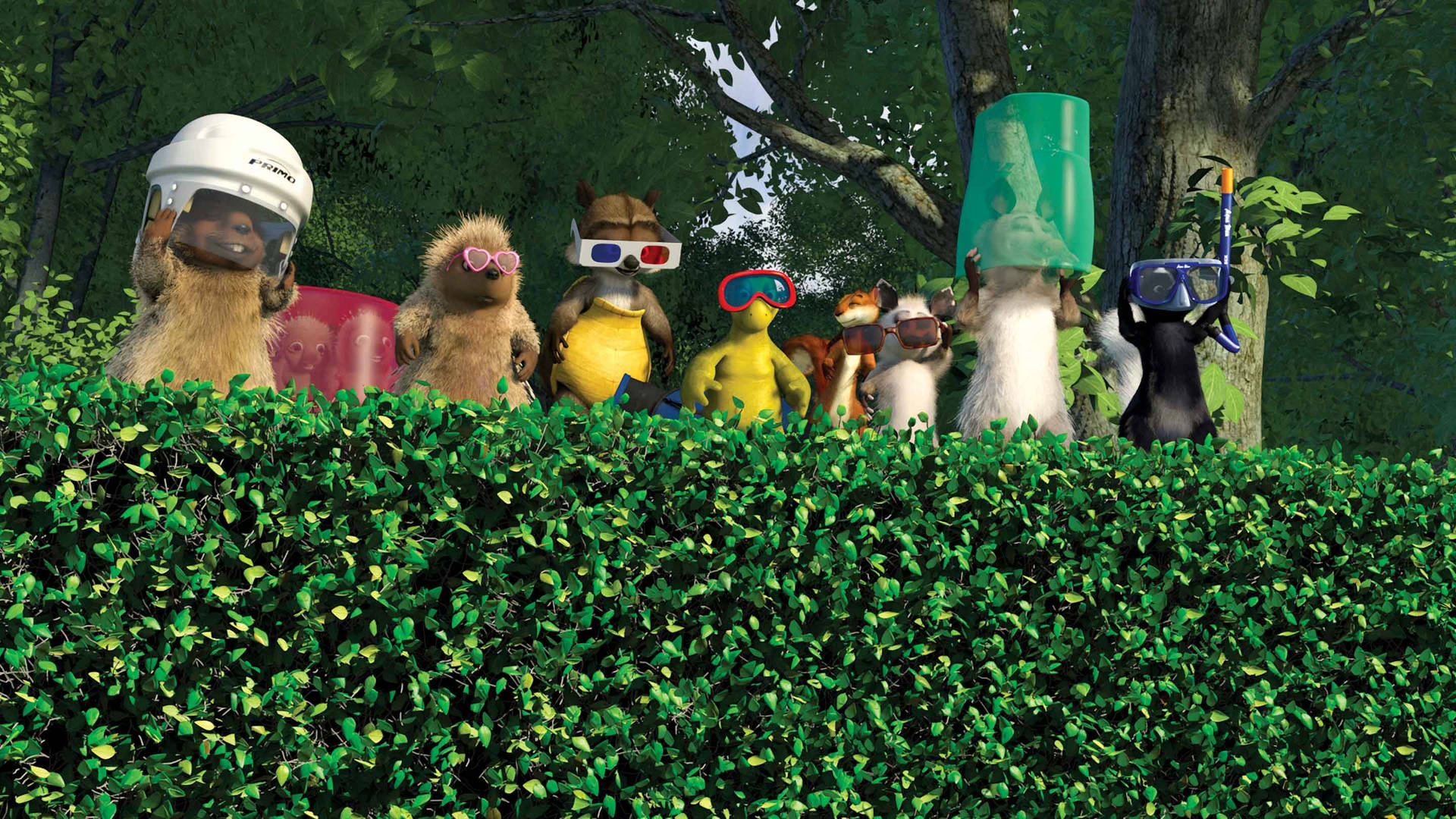 Over The Hedge Wearing Sunglasses Wallpaper