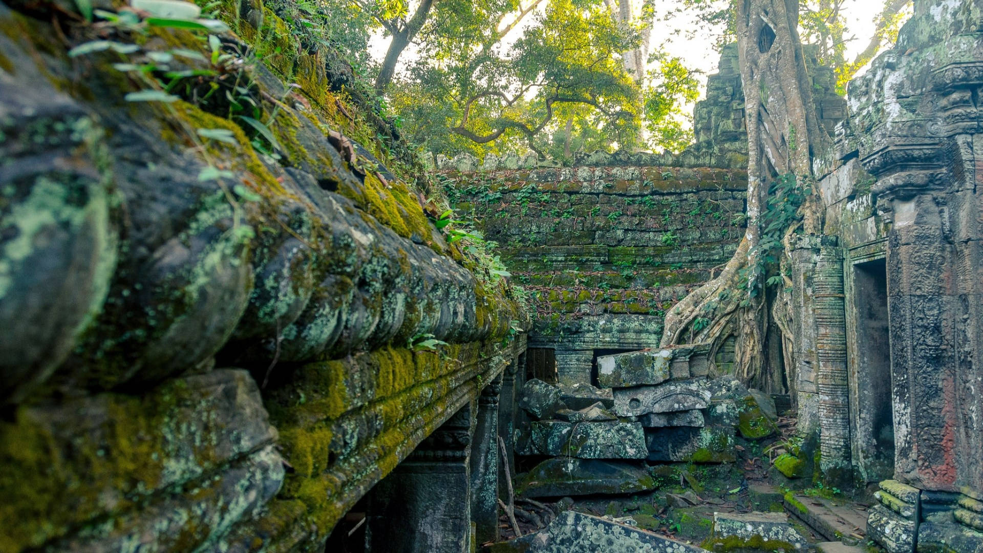 Ruinascubiertas De Vegetación De Angkor Wat Rodeadas De Musgo. Fondo de pantalla