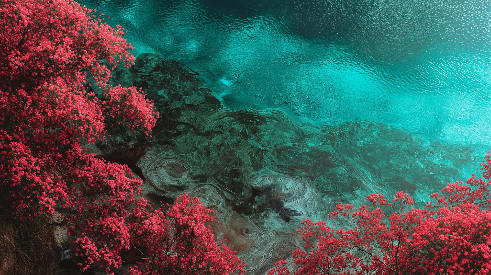 Overhead View Of Tropical Paradise With Vibrant Foliage & Water Wallpaper
