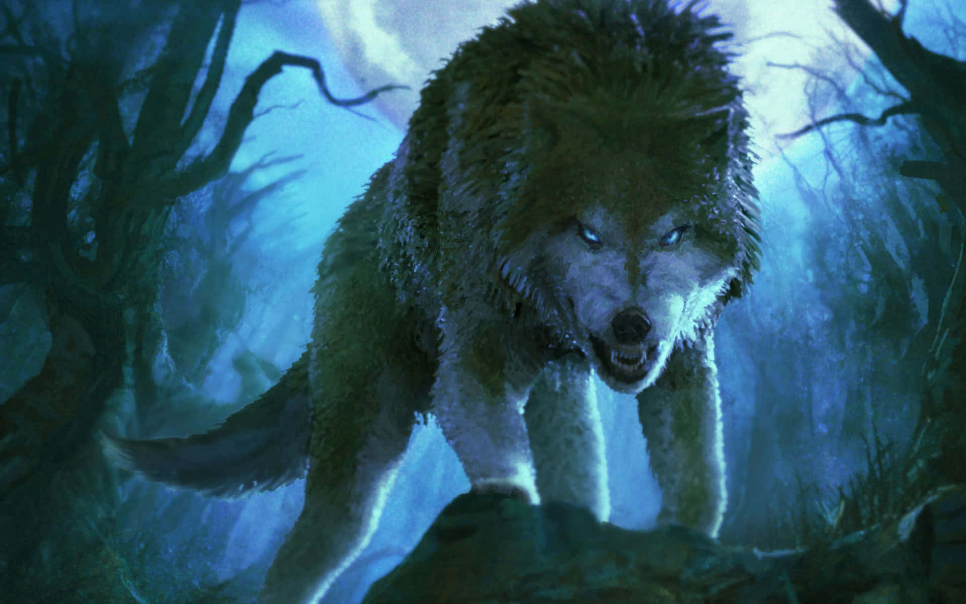 Overt Wolf In The Woods Wallpaper