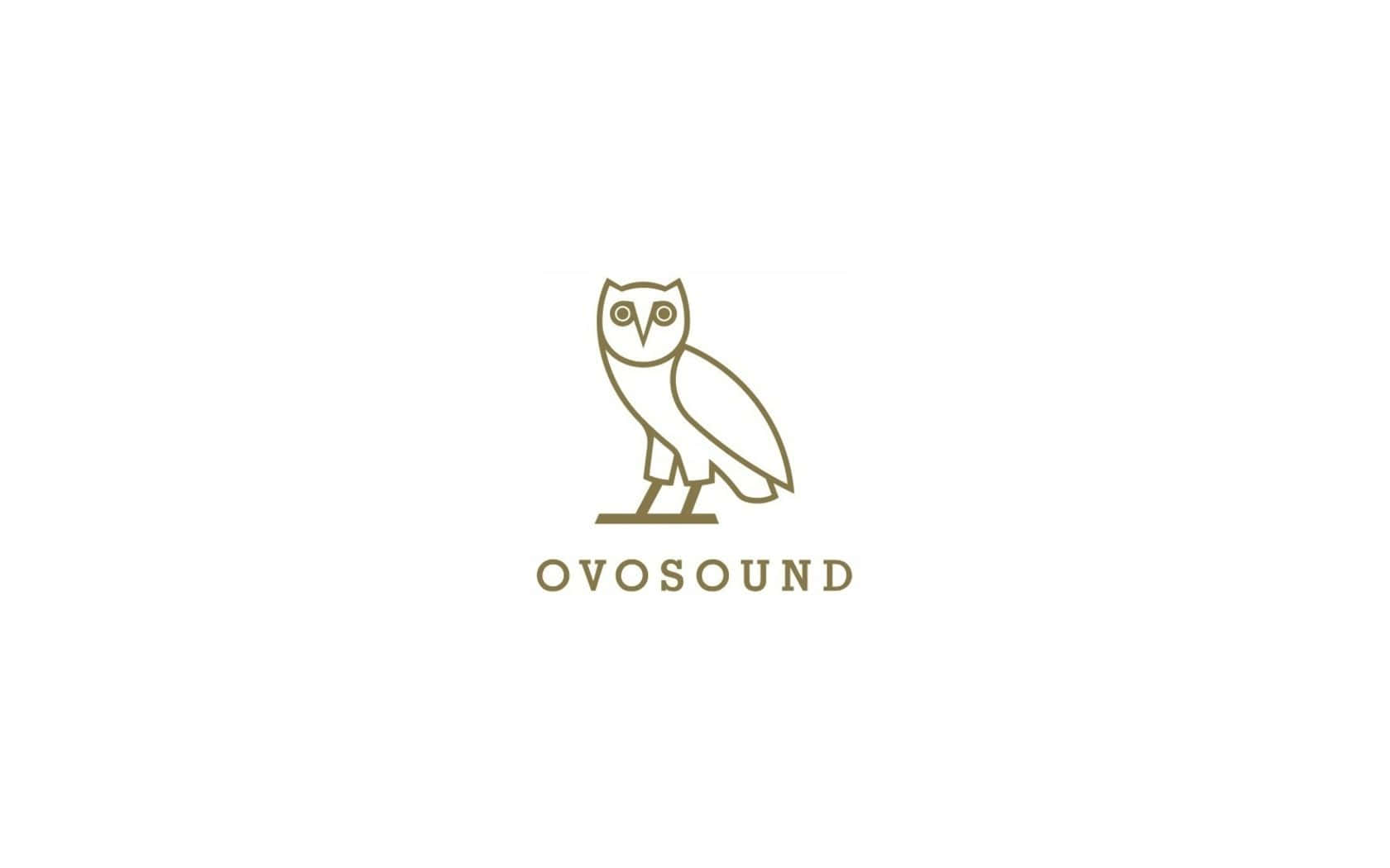 Oyosound Logo With An Owl On It Wallpaper