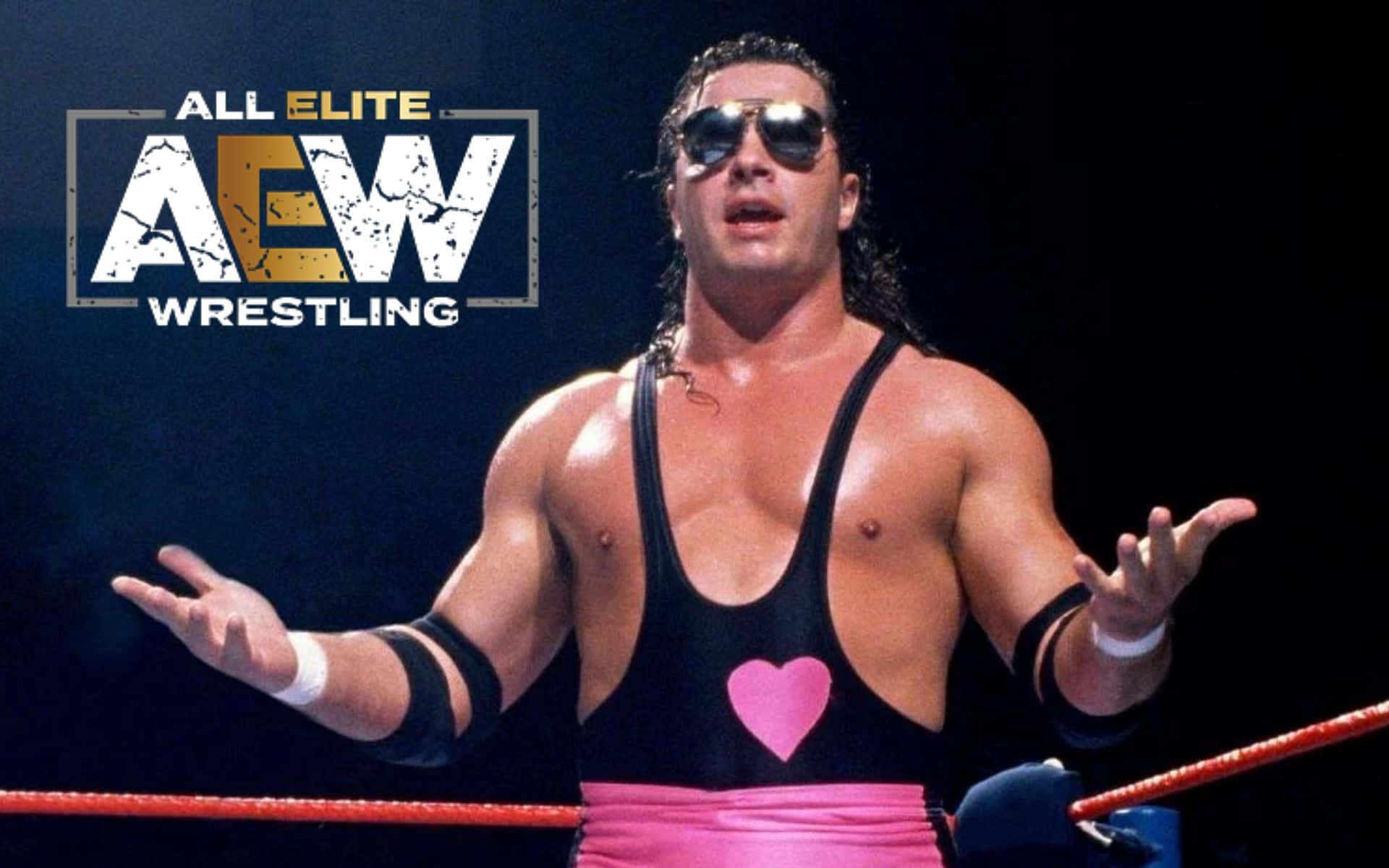 Owen Hart All Elite Wrestling Background