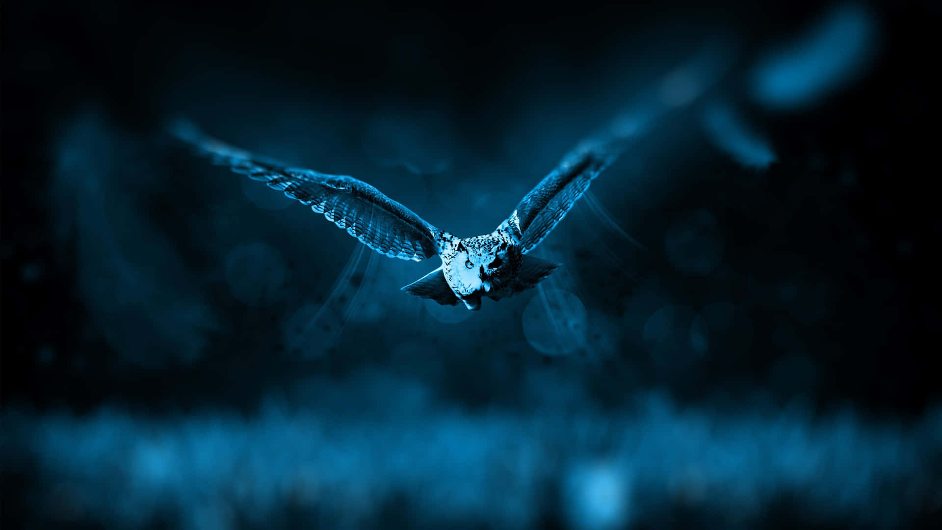 A Blue Owl Flying In The Sky
