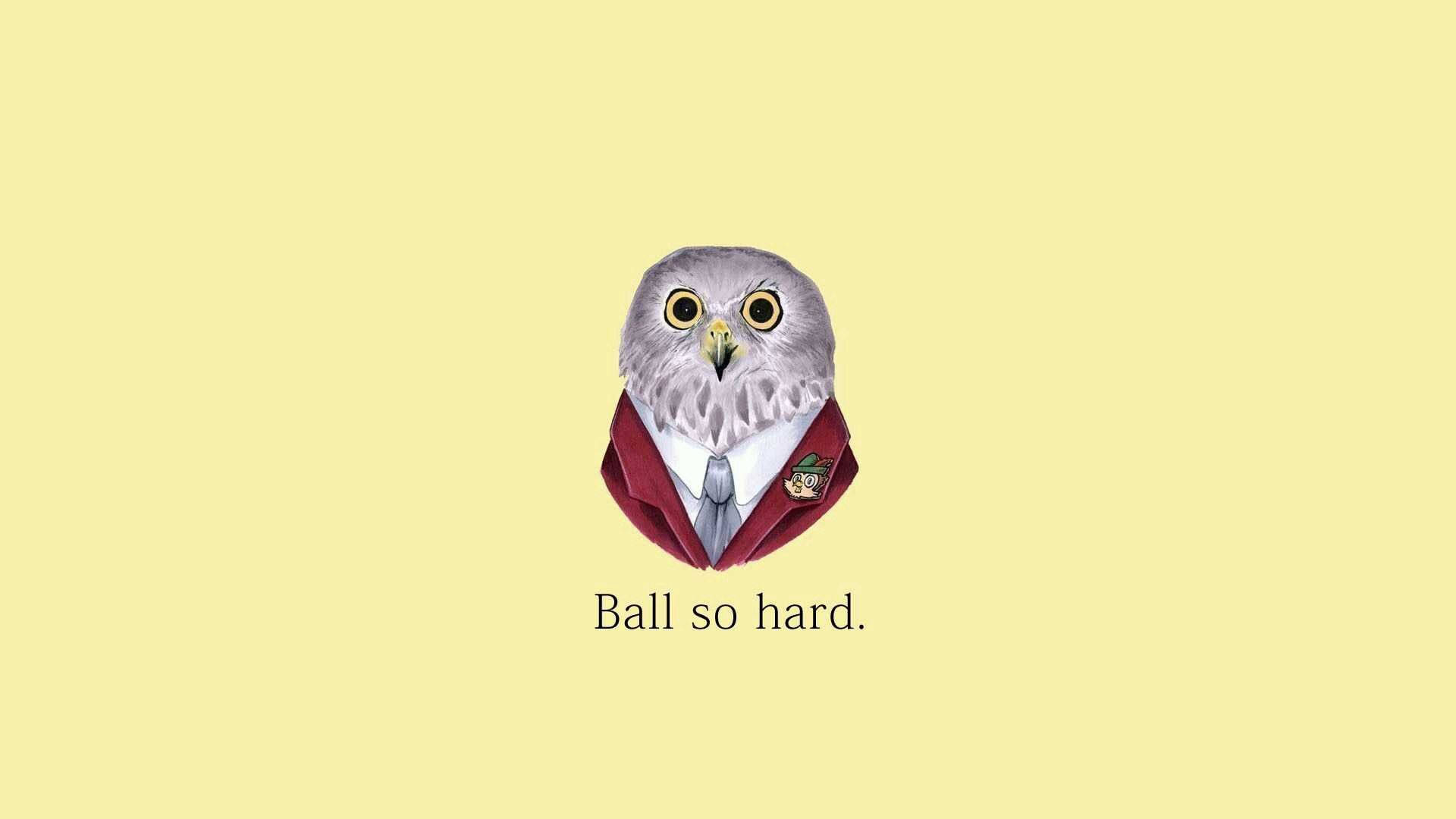 An owl determined to stay atop the ball, no matter what. Wallpaper