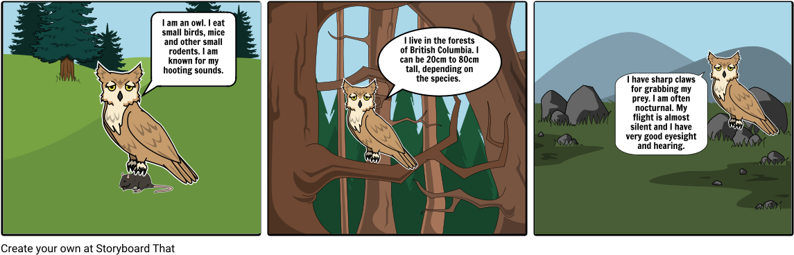 Owl Educational Comic Strip PNG
