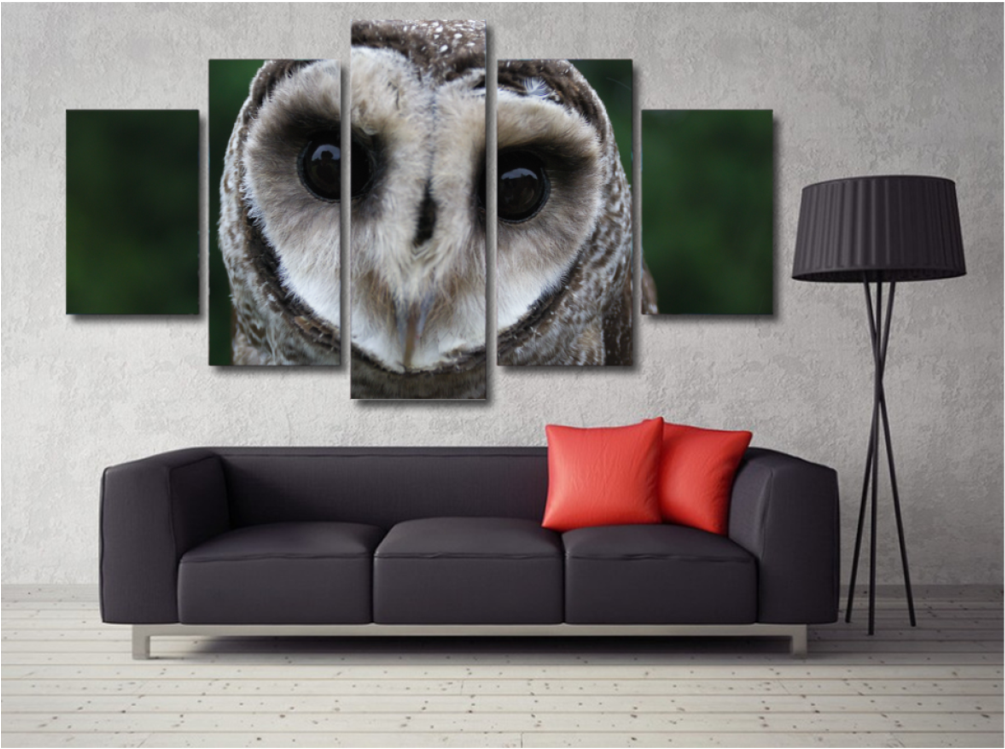 Owl Eyes Wall Art Split Canvas PNG