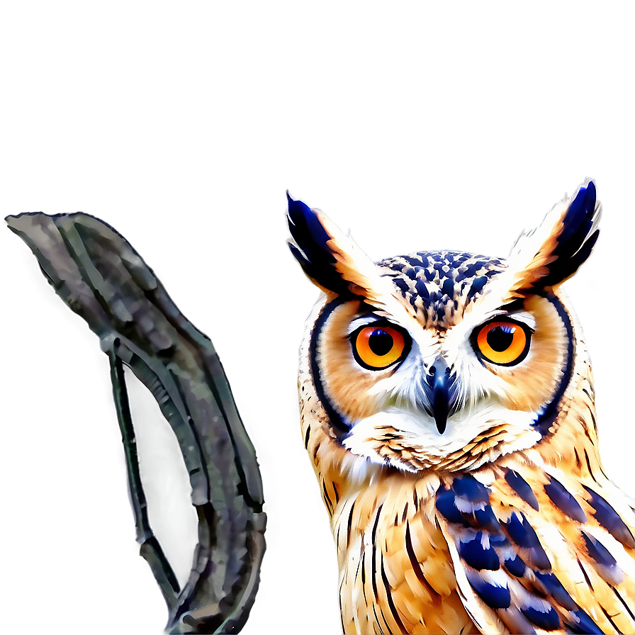 Owl Outline Png Jhs17 PNG