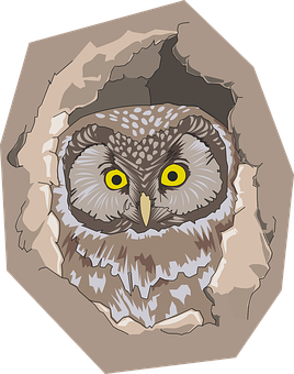 Owl Peeking Through Hole PNG