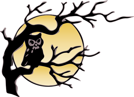 Owl Silhouette Against Moon PNG