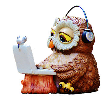 Owl Using Laptop Figurine PNG