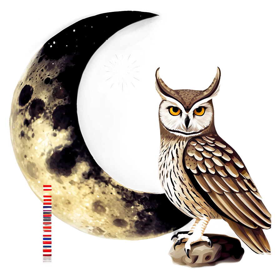 Download Owl With Moon Png 05062024