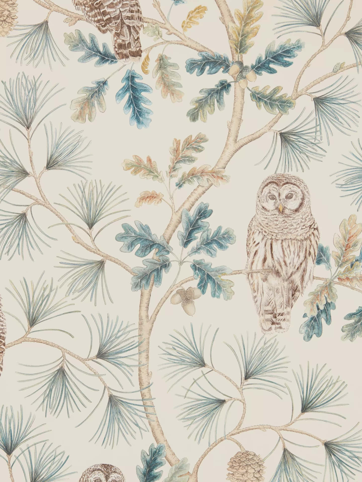 Owland Pine Branch Pattern Wallpaper