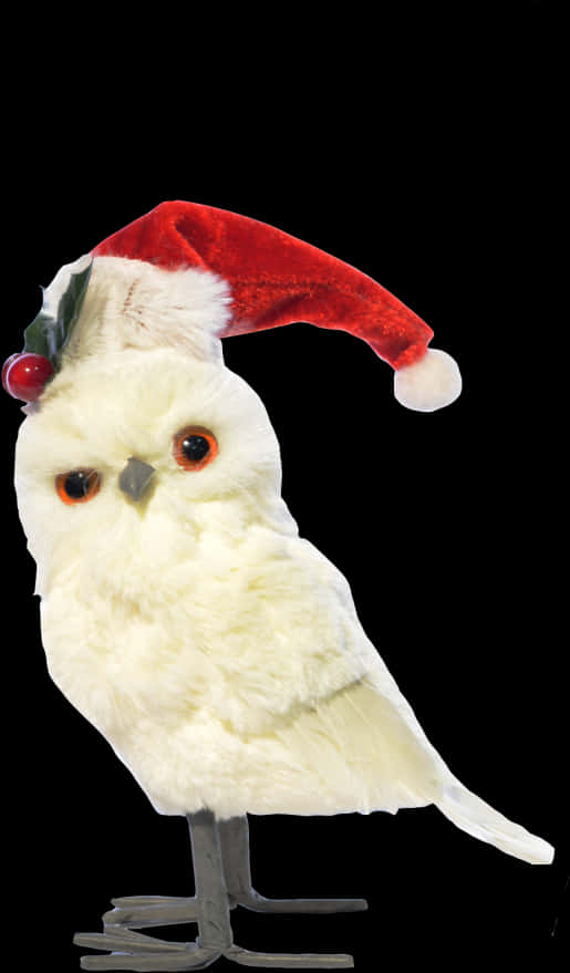 Owlin Santa Hat PNG