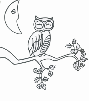 Owlon Branch Line Art PNG