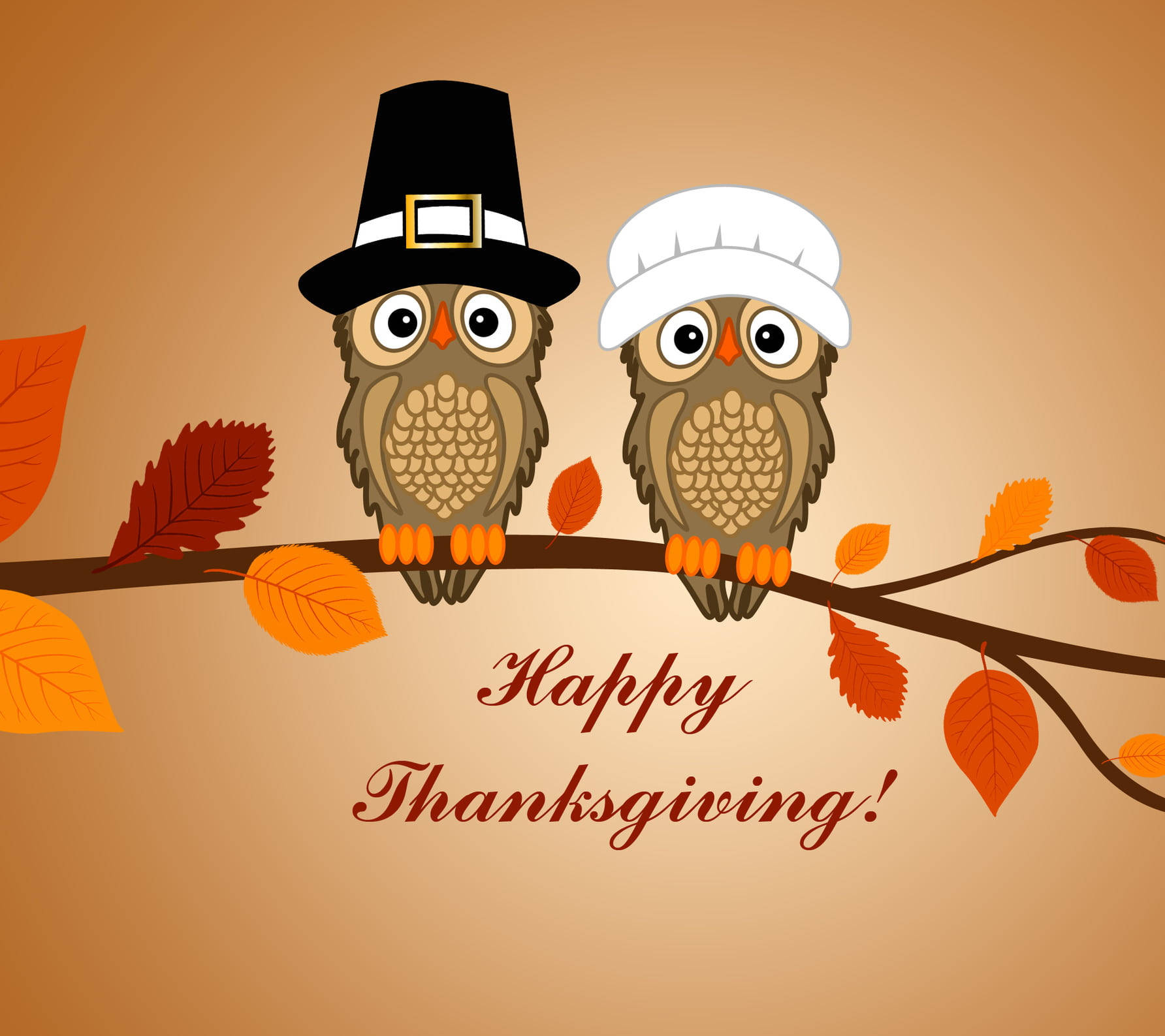 Owls Ready For Thanksgiving Iphone Wallpaper