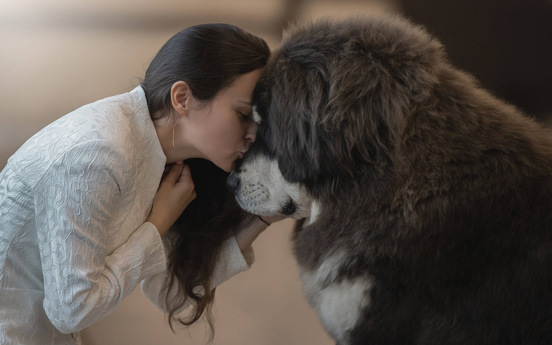 Owner And Pet Dog Kissing Hd Wallpaper