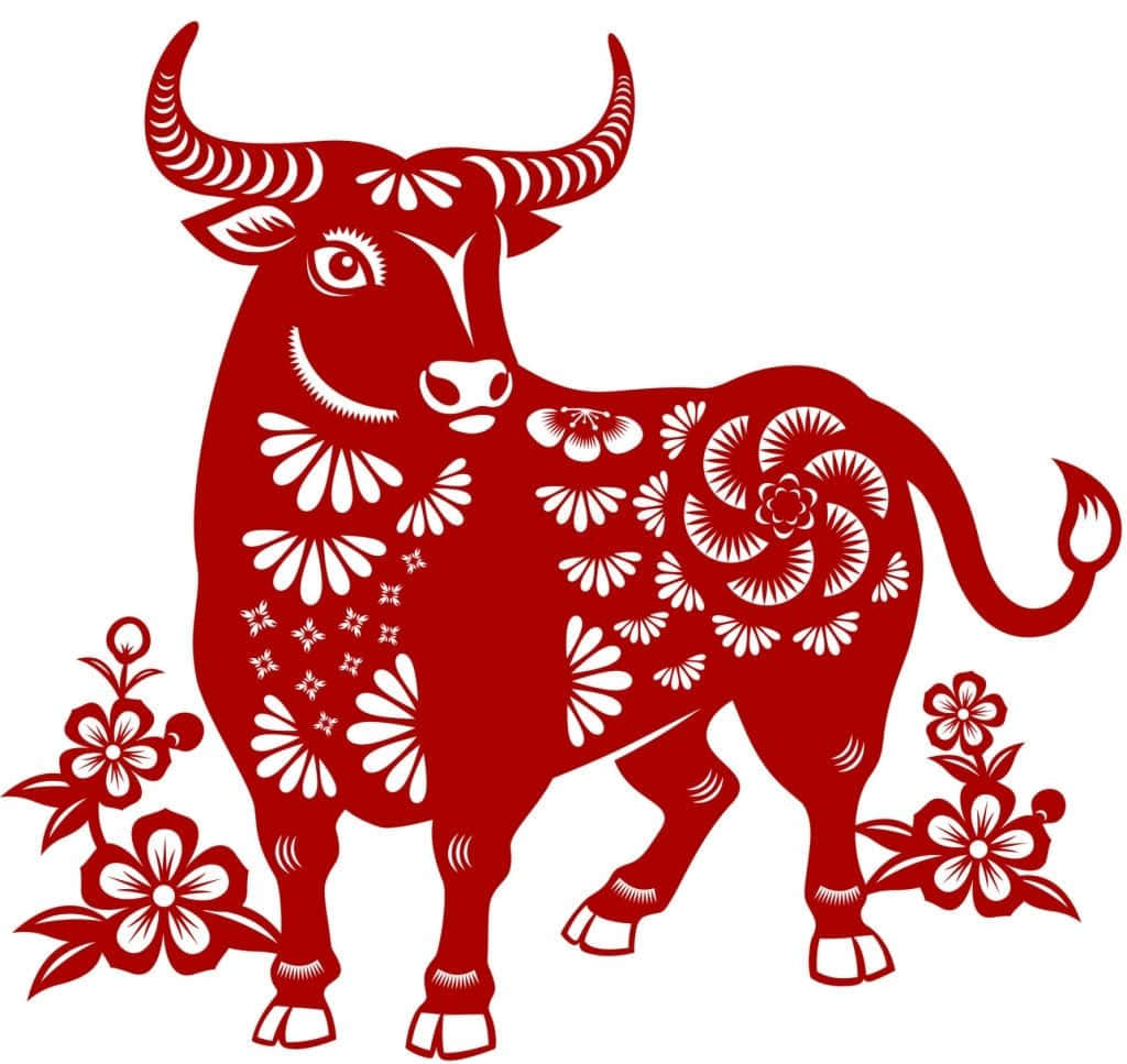 Chinese New Year - Ox