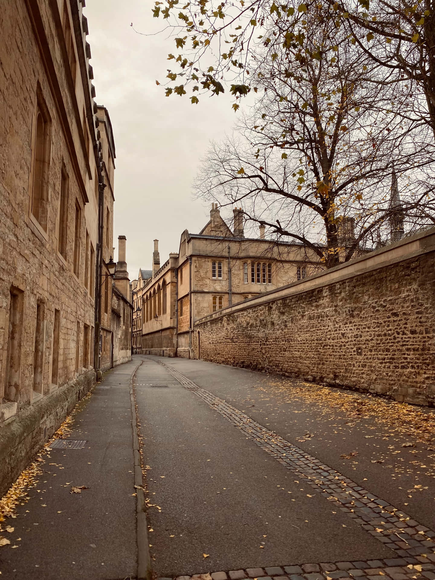 Oxfordsuniversitetsgård. Wallpaper