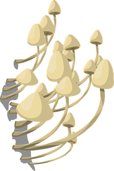 Oyster Mushroom Cluster Vector PNG