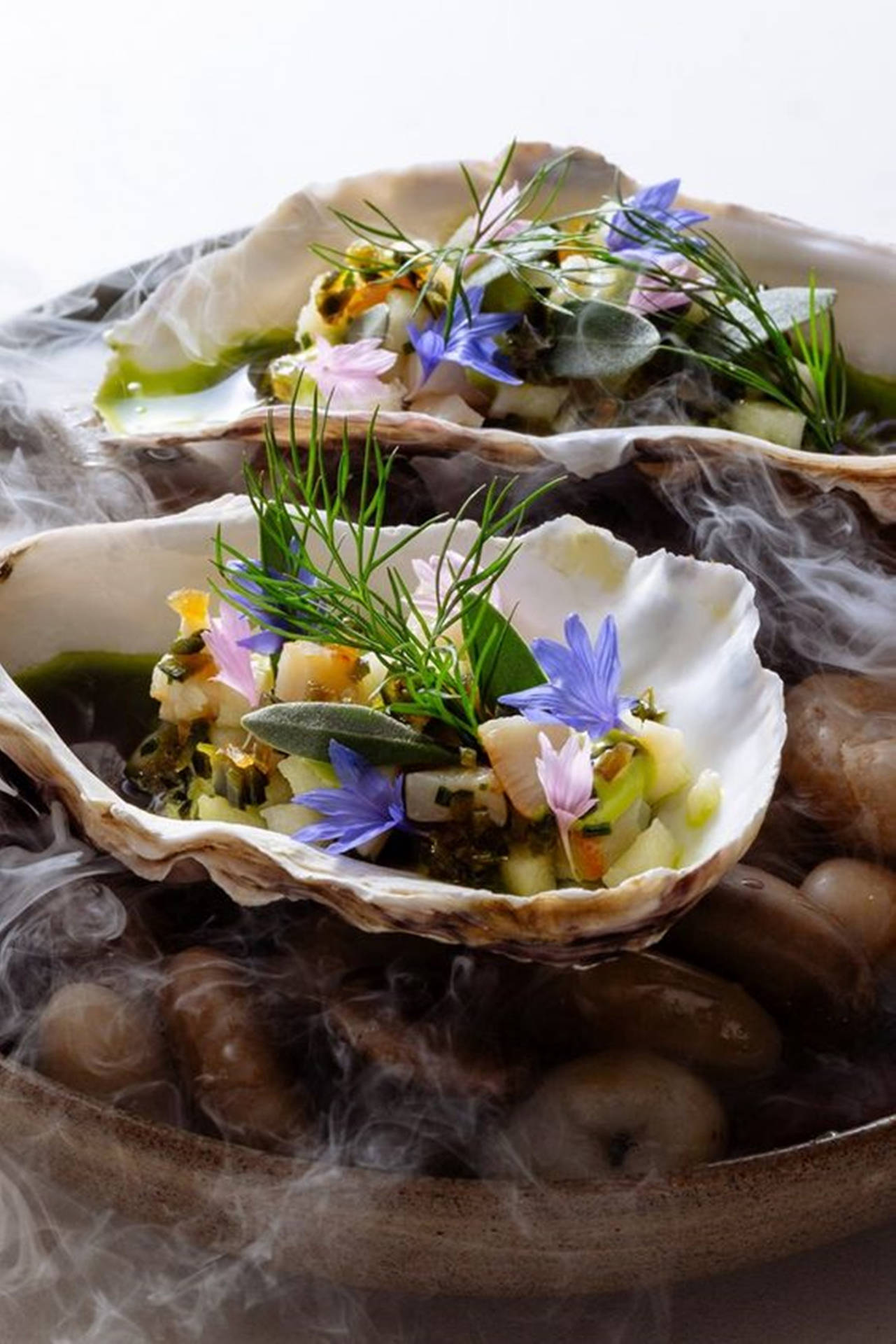 Oysters With Tiny Flower Garnish Wallpaper