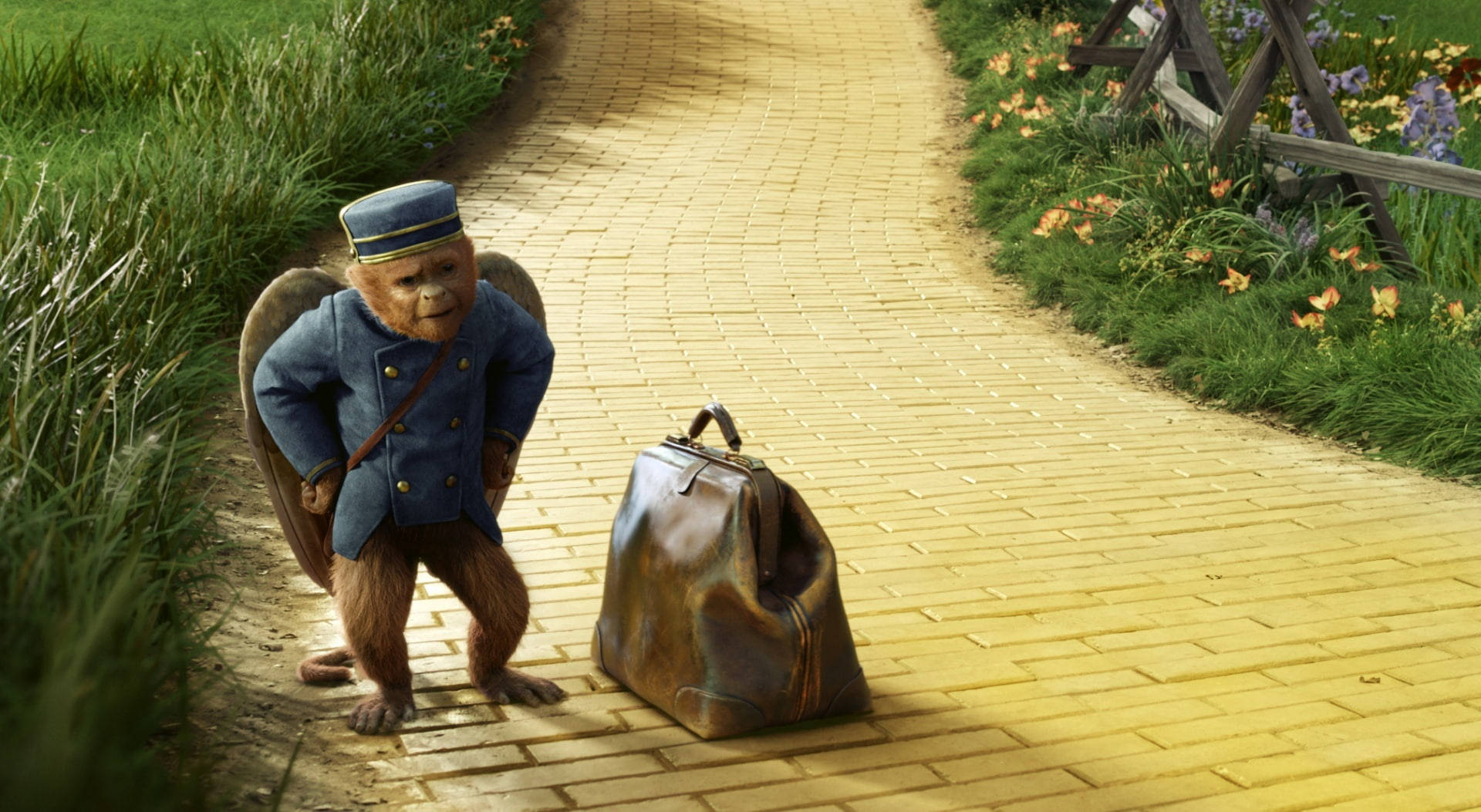 Oz The Great And Powerful Finley With A Luggage Background