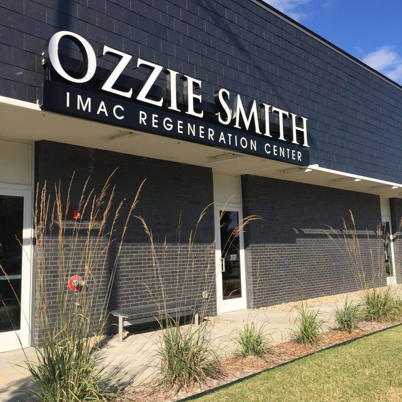 Ozzie Smith Regeneration Center Wallpaper