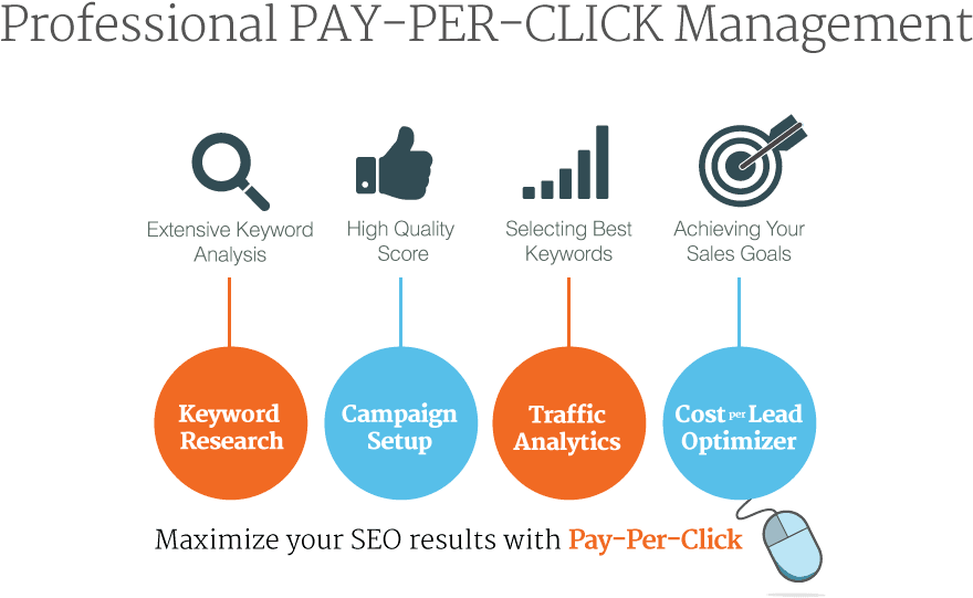 P P C Management Steps Infographic PNG