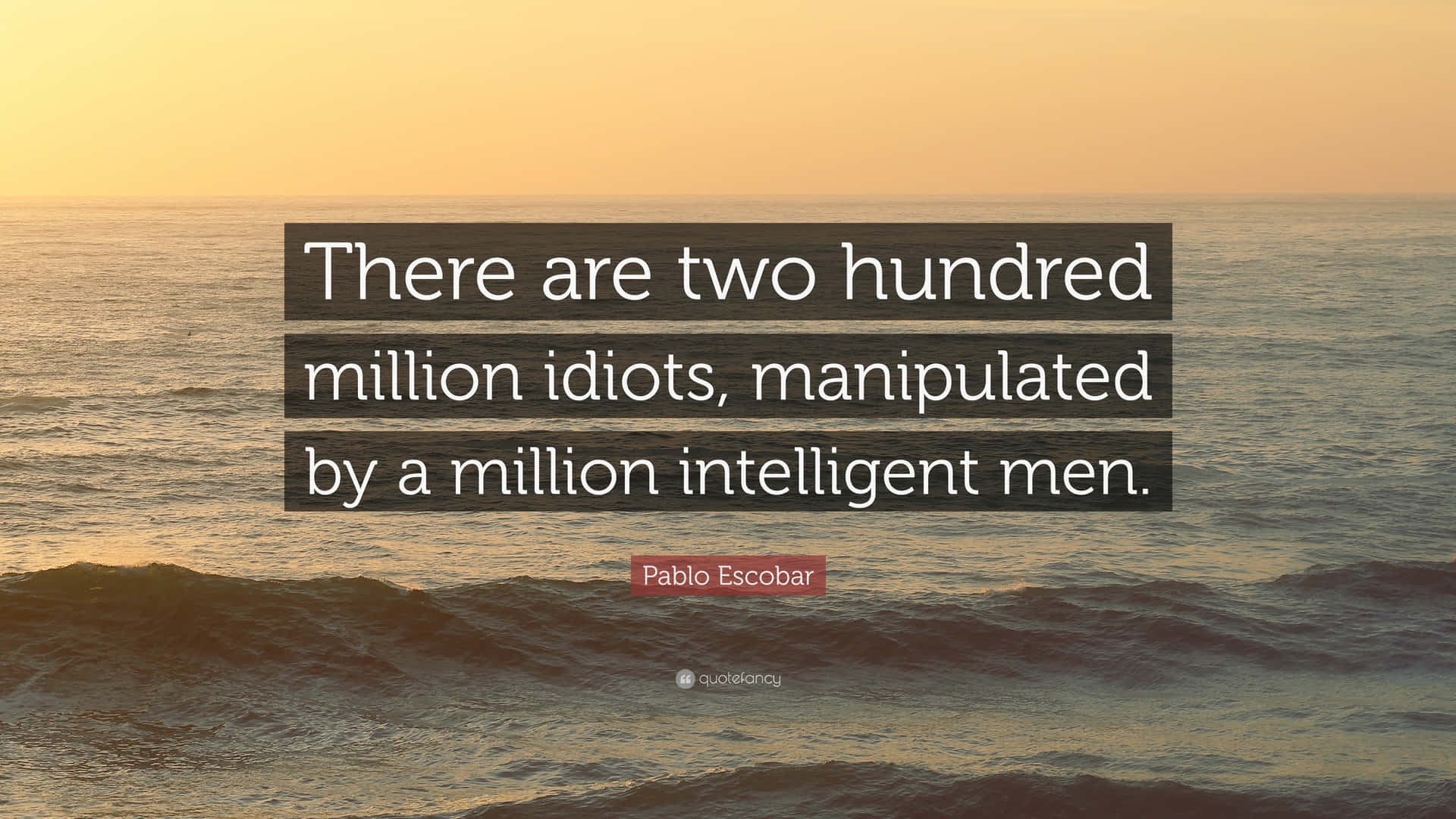 Derer To Hundrede Millioner Idioter Styret Af En Million Intelligente Mænd.