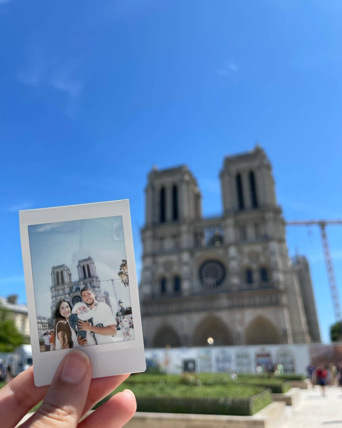 Pablofornals Notre Dame Fondo de pantalla