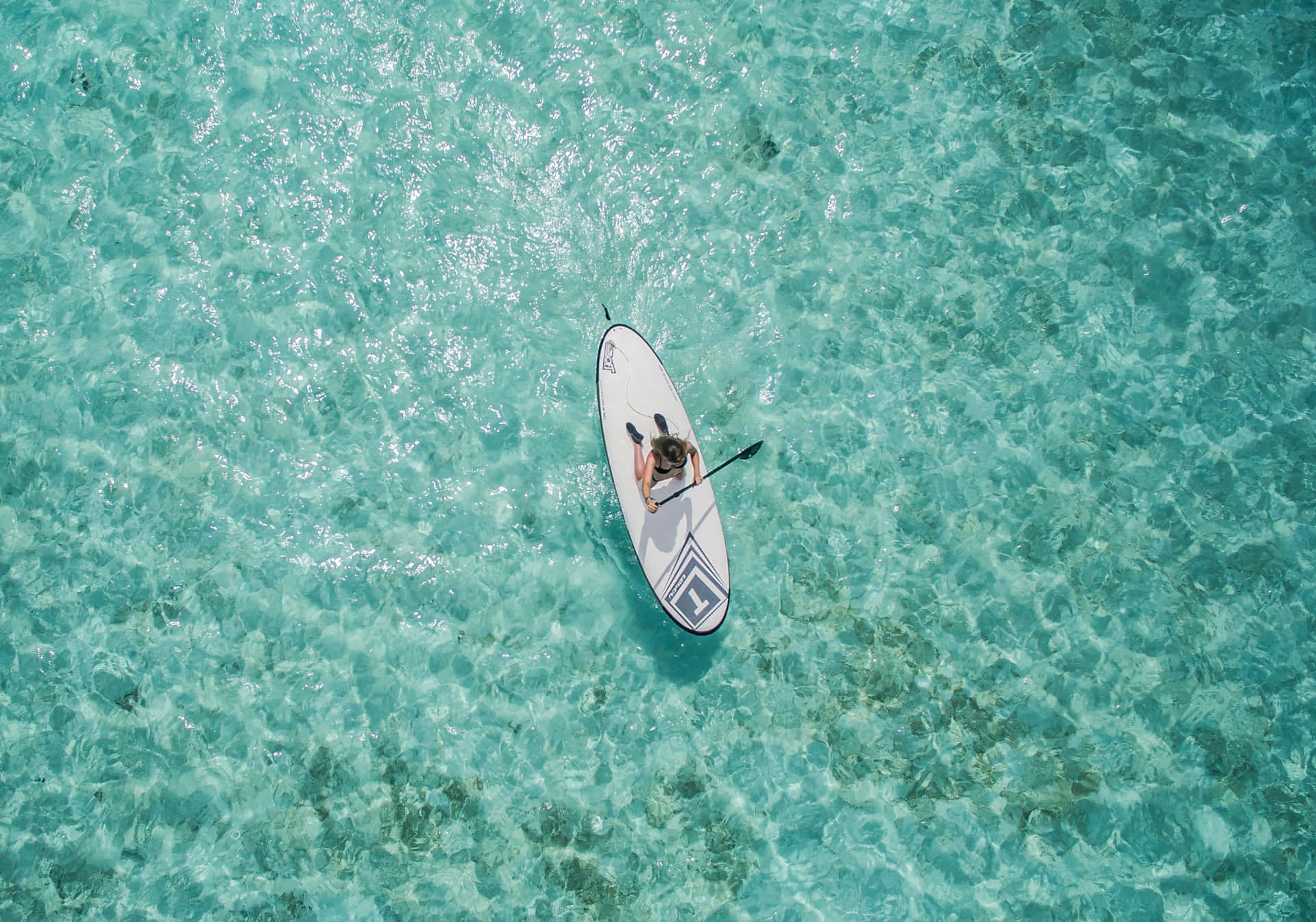 Paddleboarder exploring the ocean Wallpaper