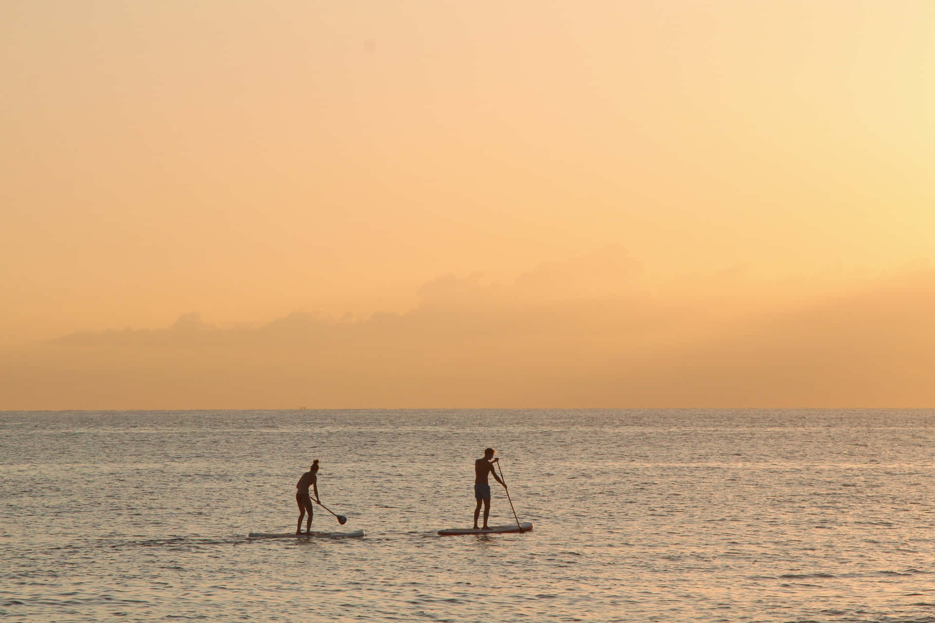 Paddleboarder gliding on calm water during sunset Wallpaper