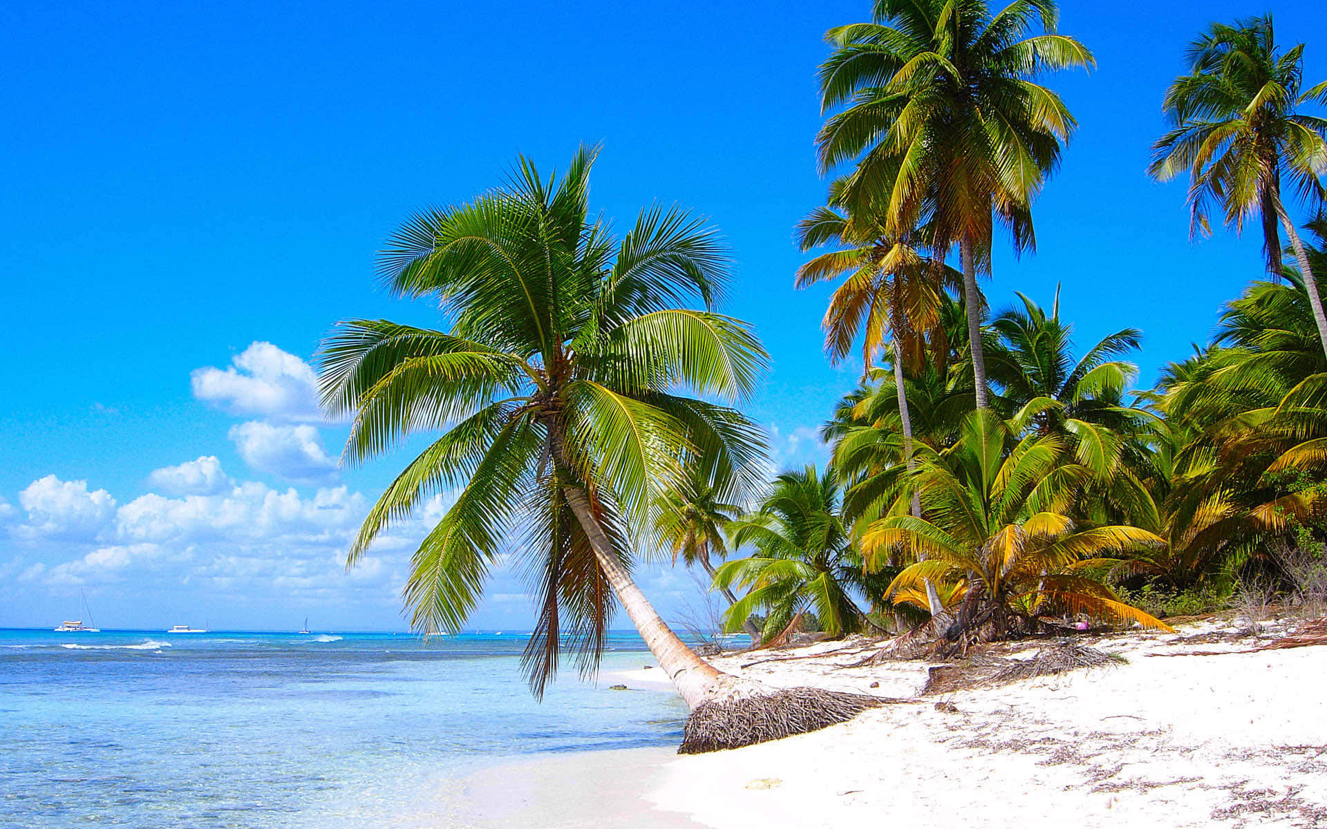 Paesaggiosereno Di Una Spiaggia Caraibica