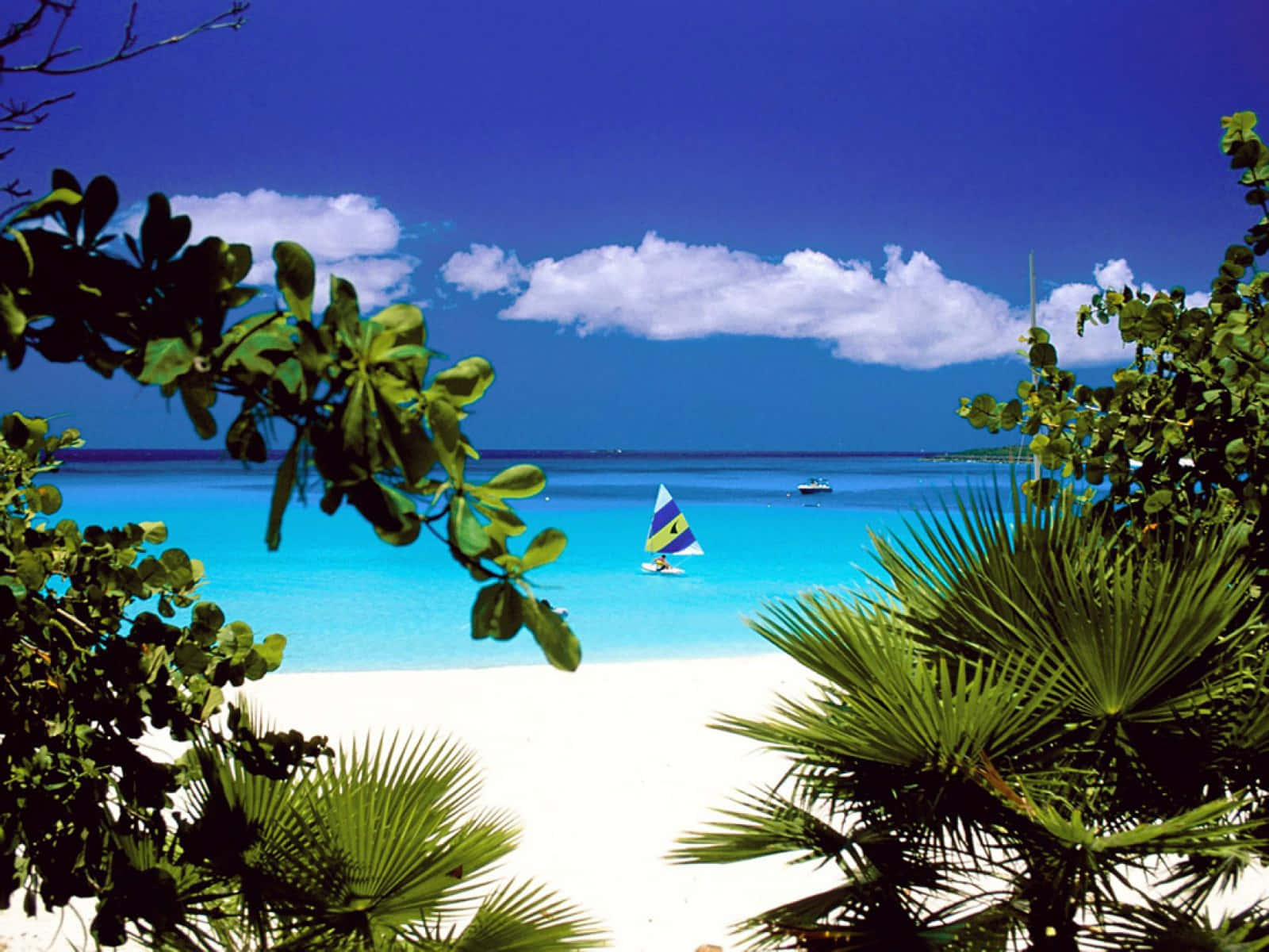 Paesaggiotranquillo Di Una Spiaggia Caraibica
