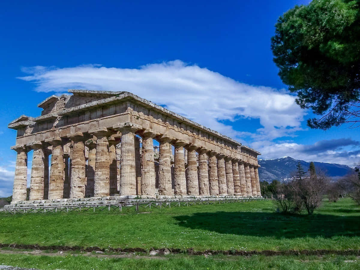 (fit For A Computer Or Mobile Wallpaper Representing A Grassy Sunny Day In Paestum) Sfondo