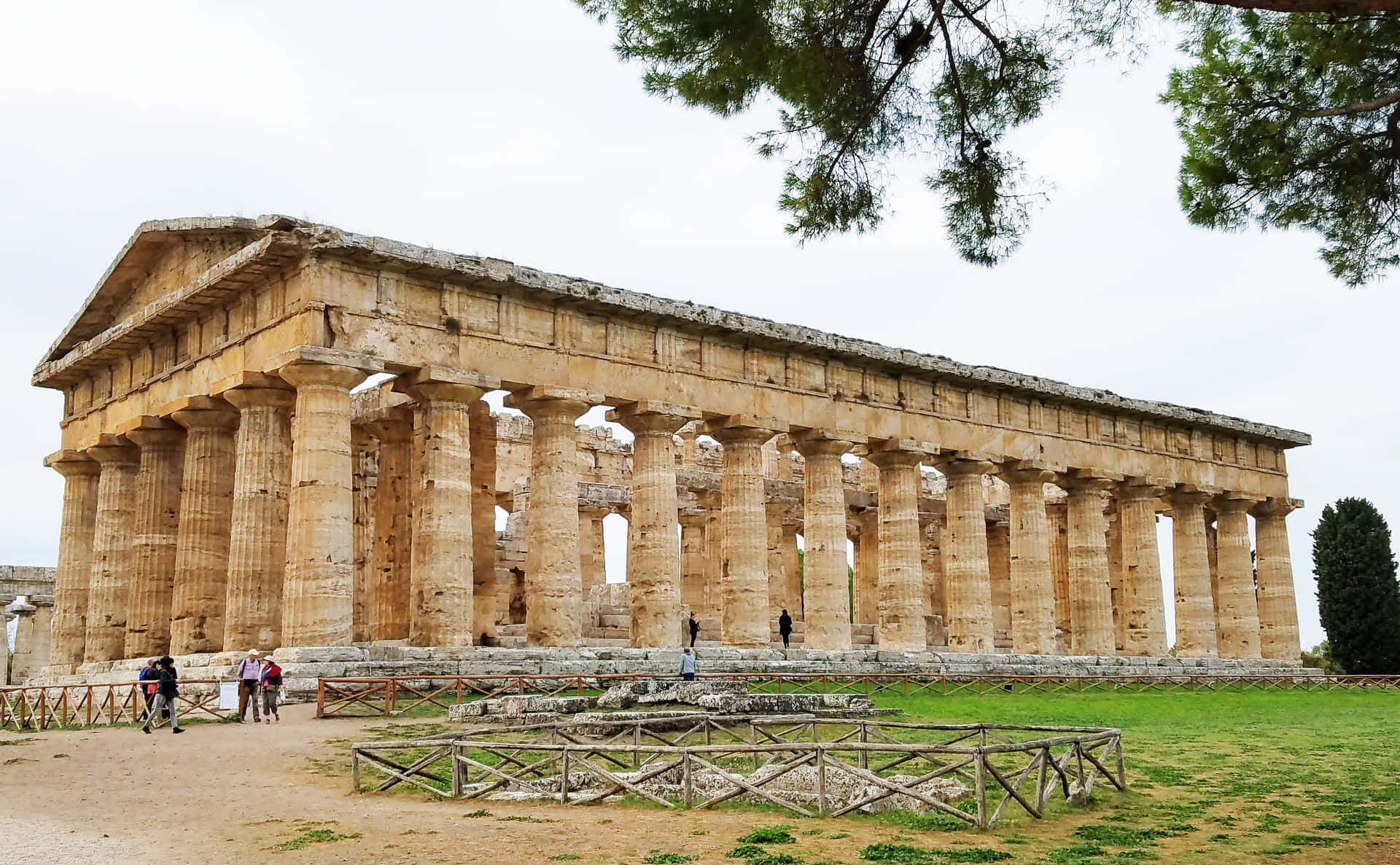 Paestumtourist Standing Can Be Translated To 