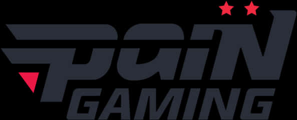 Pai N_ Gaming_ Logo PNG