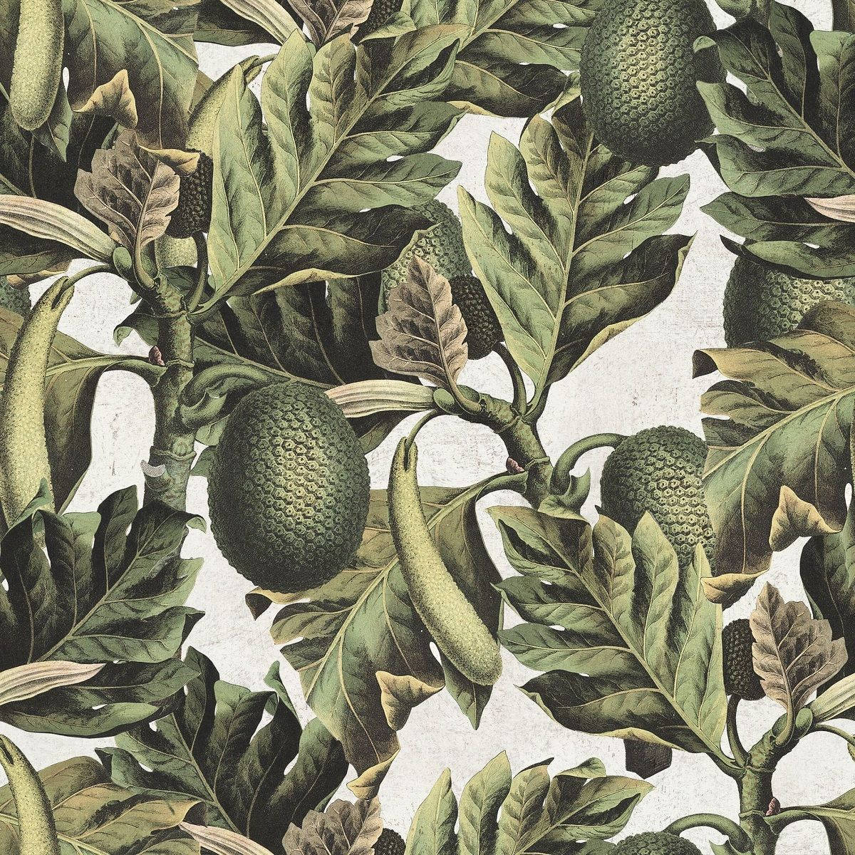 Painted Breadfruit Plant Wallpaper
