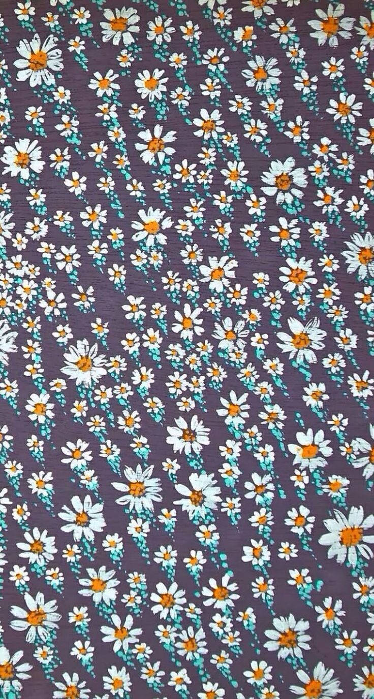 Vibrant Painted Daisies on Phone Wallpaper