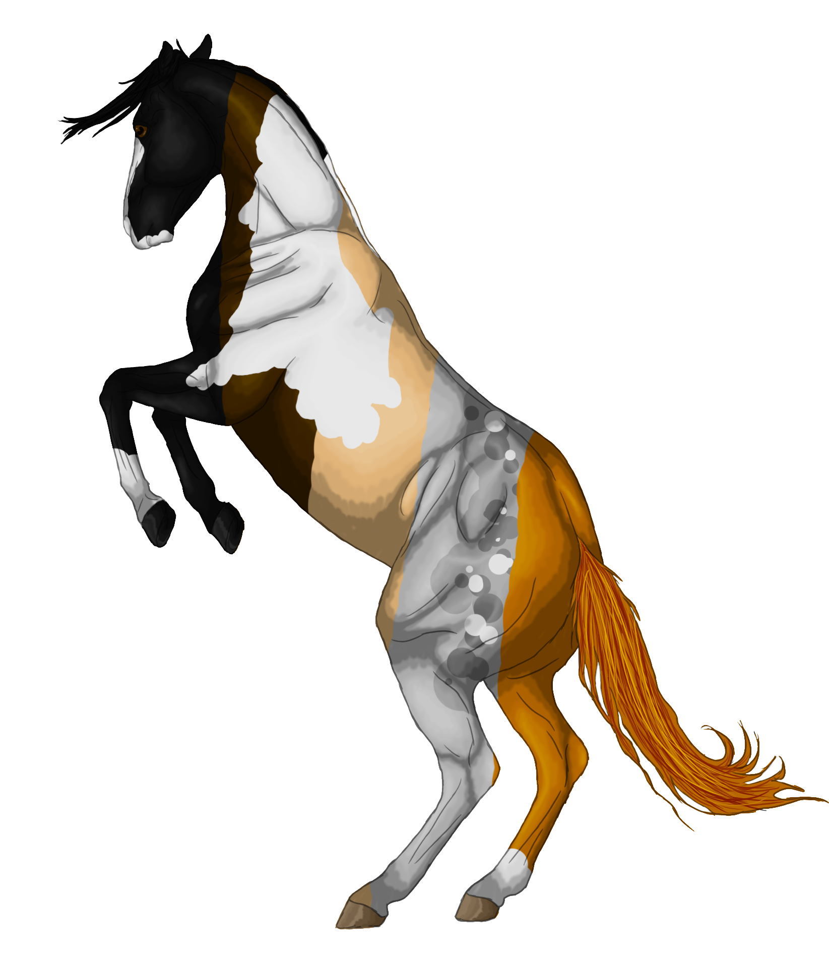 Painted Horse Rearing Illustration PNG