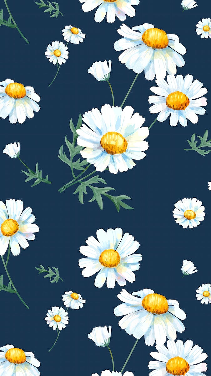 Painted Illustration Of White Daisy Iphone Wallpaper