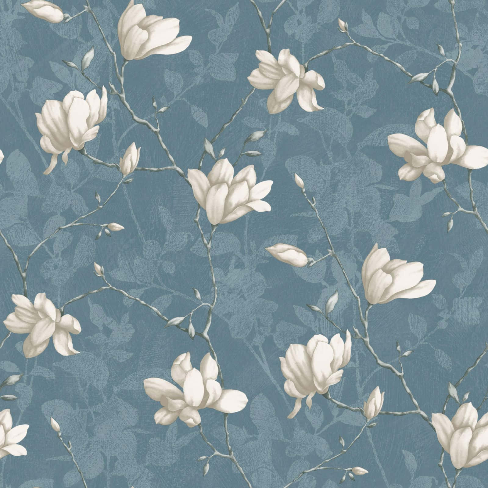 Måladeliljor Blommor Wallpaper