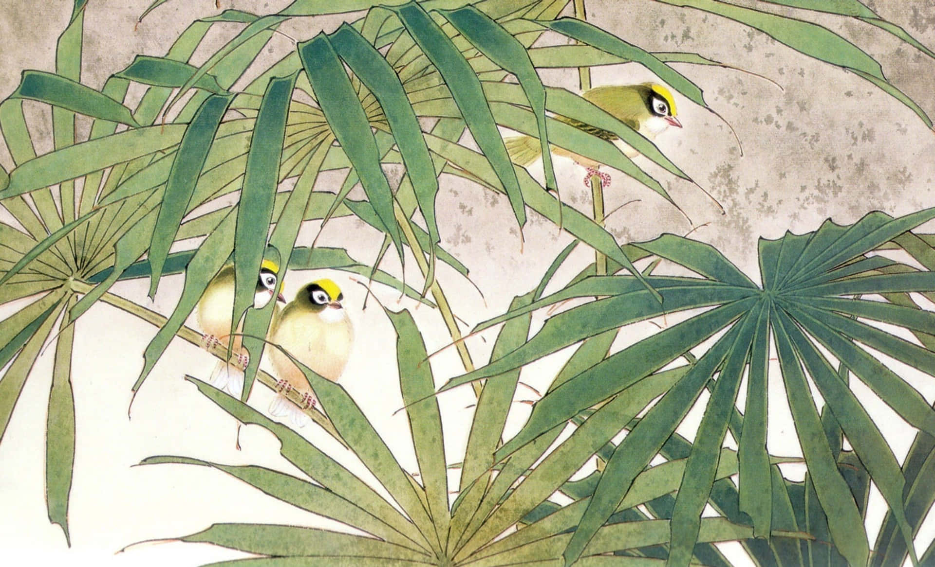 Enmålning Av Två Fåglar Som Sitter På En Palmträd