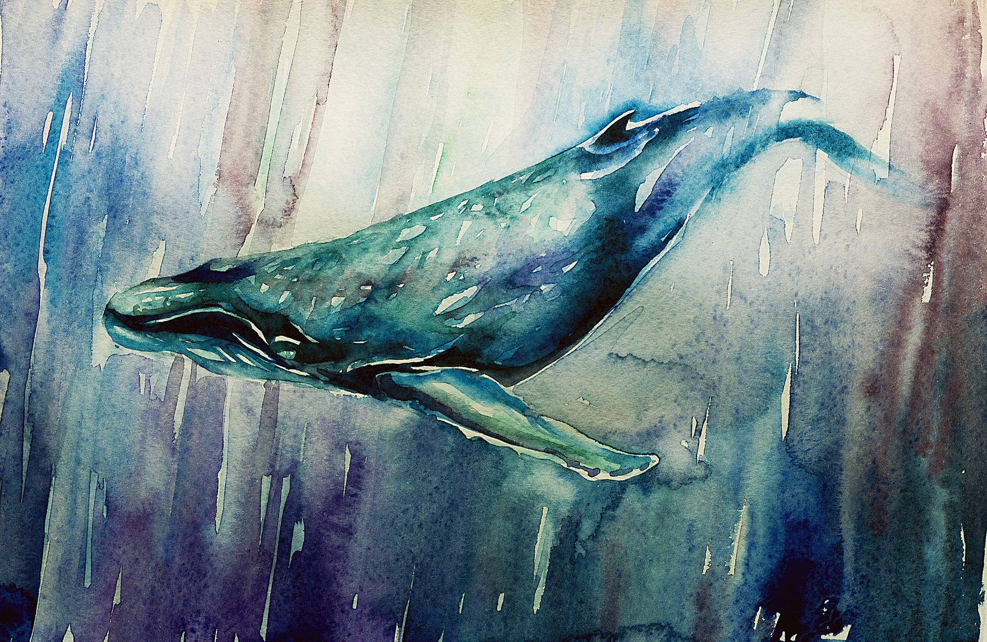 Dipinto Di Una Balena Sott'acqua Sfondo