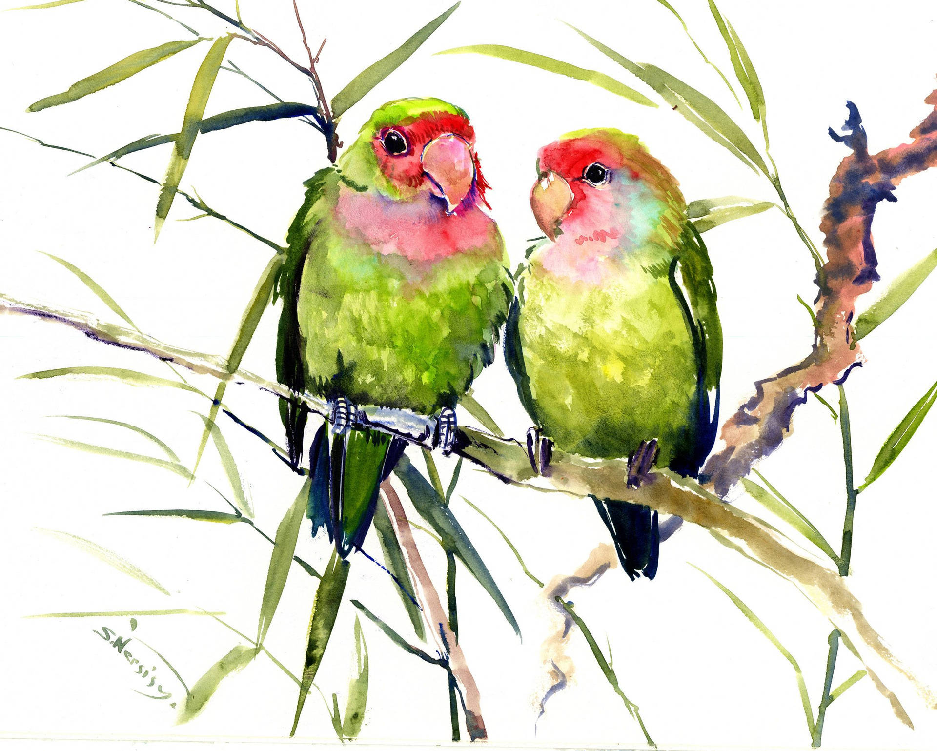 Pair Of Love Birds Admiringly Sitting On A Branch Wallpaper