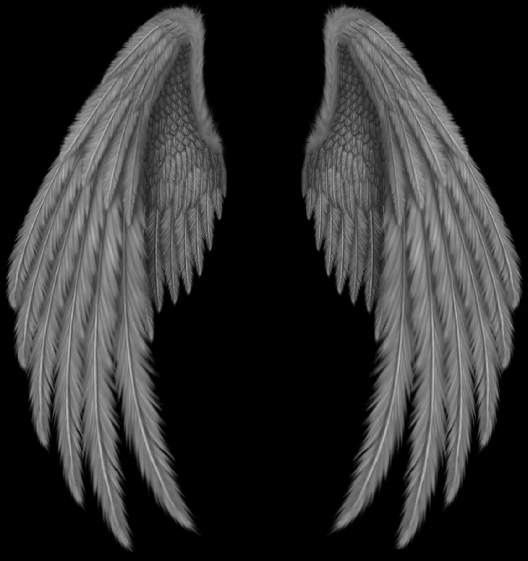 Pairof Angelic Wings Black Background PNG