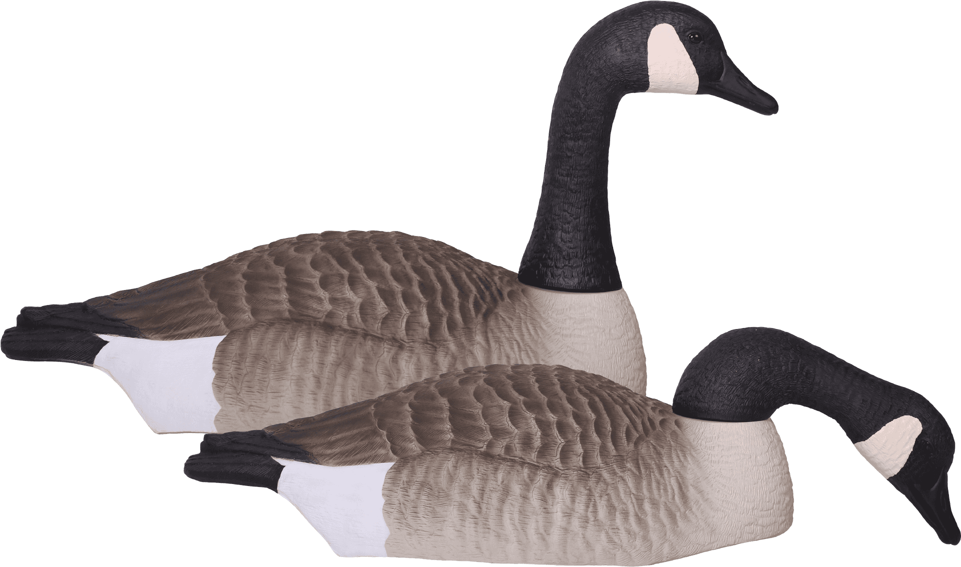 Pairof Canada Geese Decoys PNG