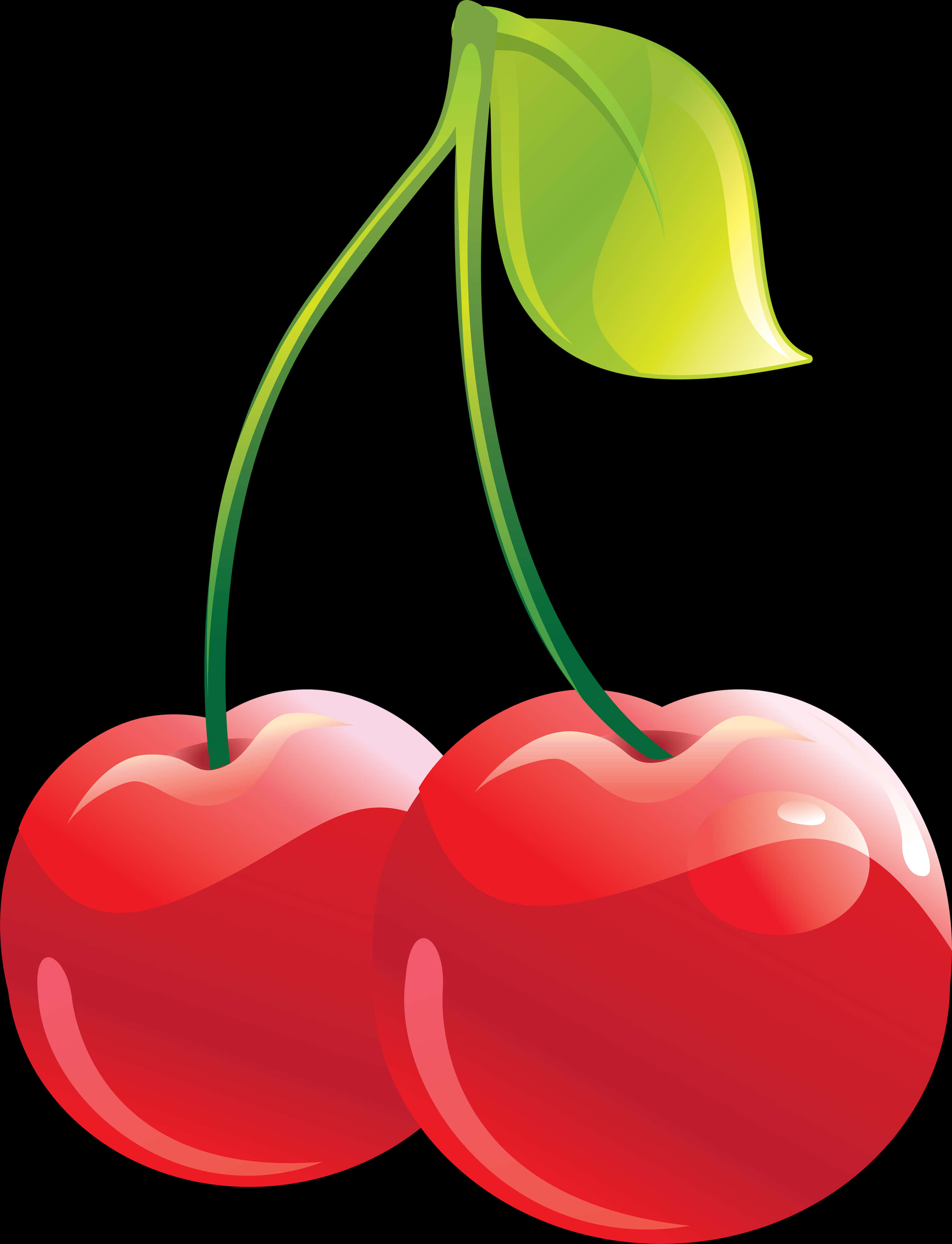 Pairof Cherries Vector Illustration PNG