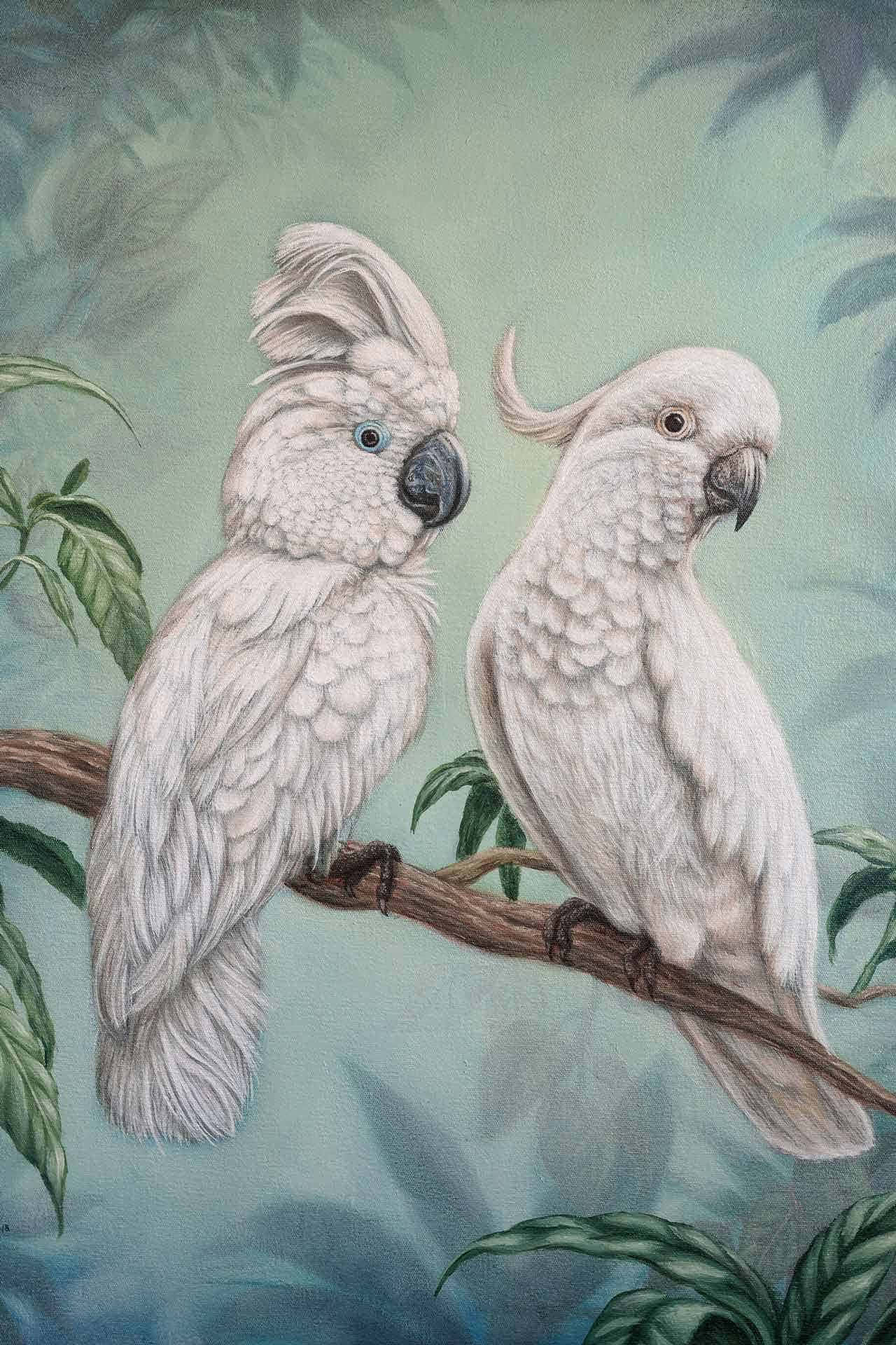 Pairof Cockatooson Branch Wallpaper