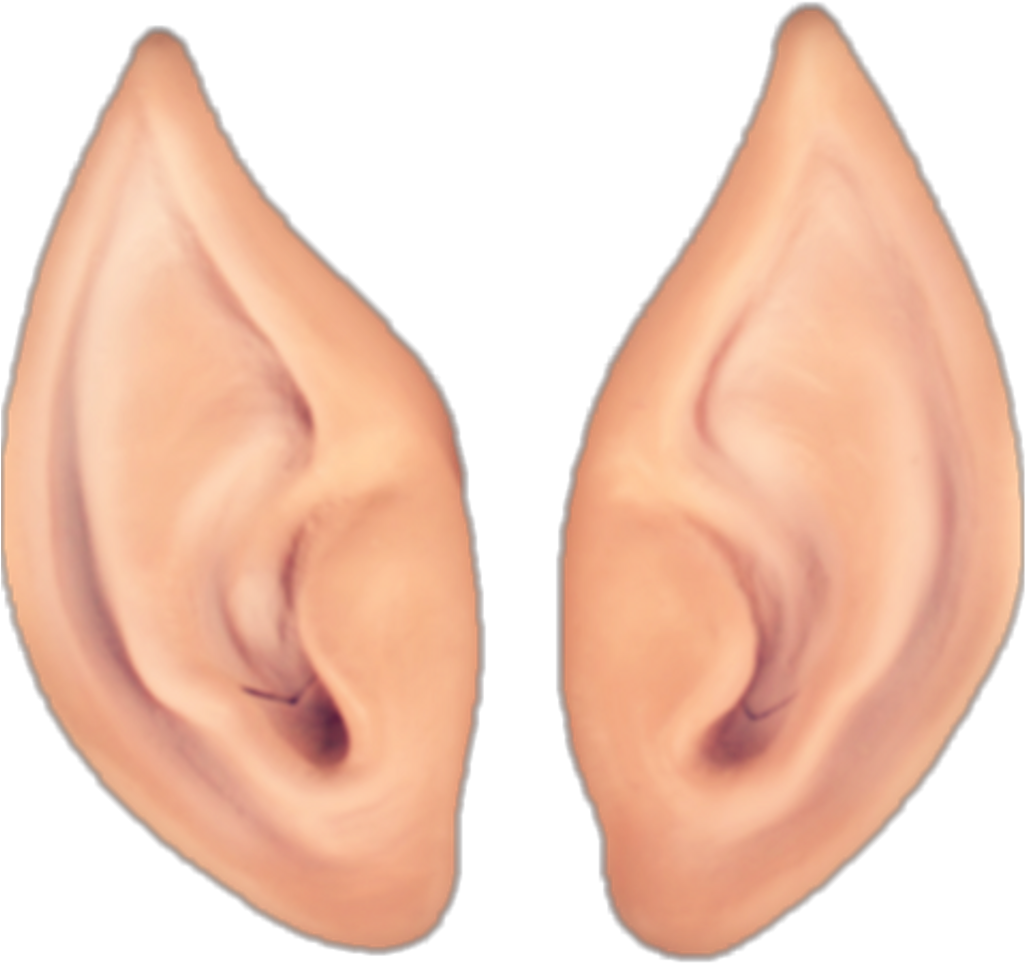 Pairof Human Ears Illustration PNG