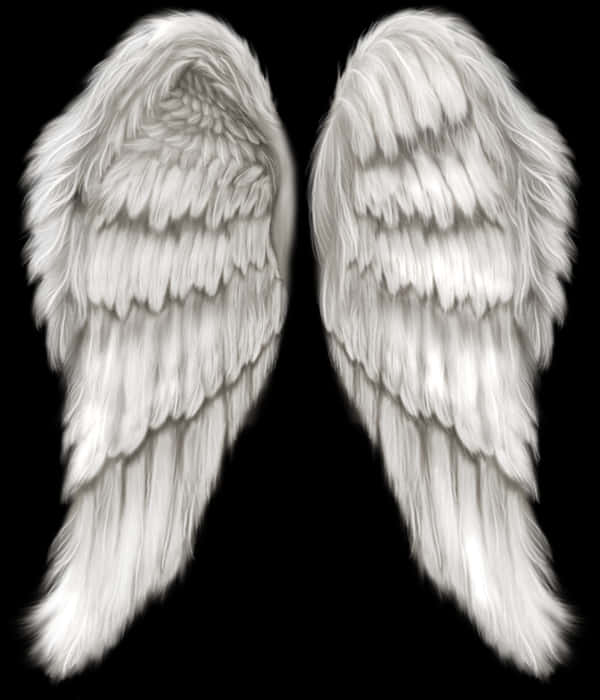 Pairof White Angel Wings PNG